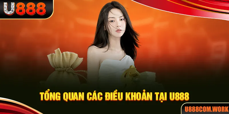 Tổng quan về các điều khoản điều kiện tại U888