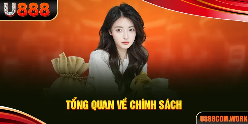 Tổng quan về chính sách quyền riêng tư U888