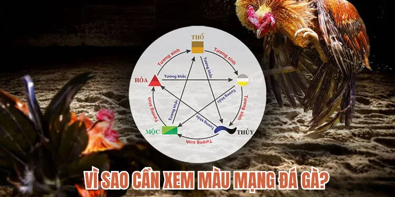 Vì sao cần phải biết cách xem màu mạng gà? 